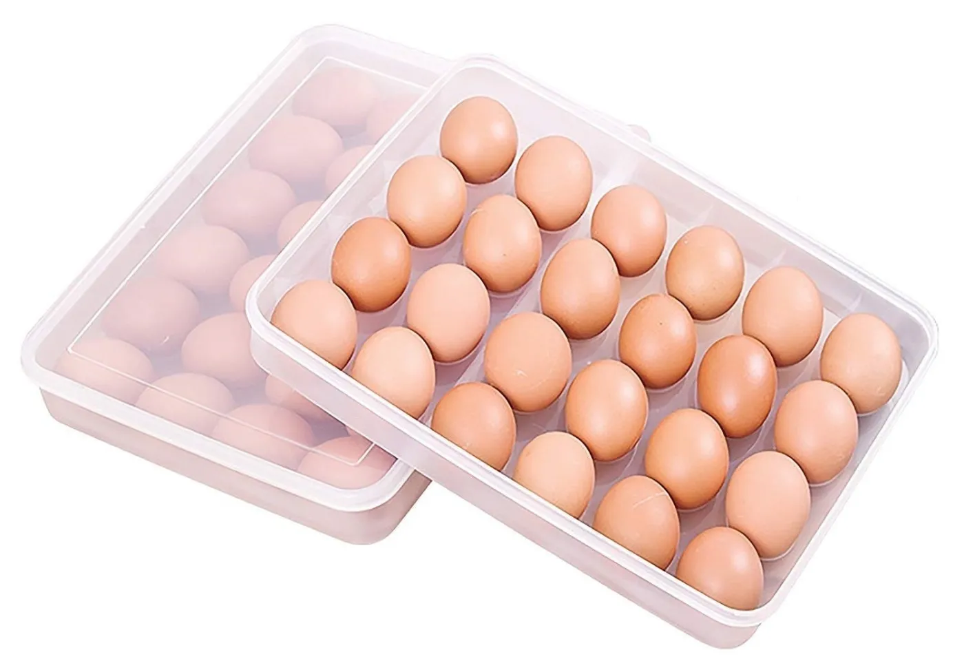 Egg & Fridge