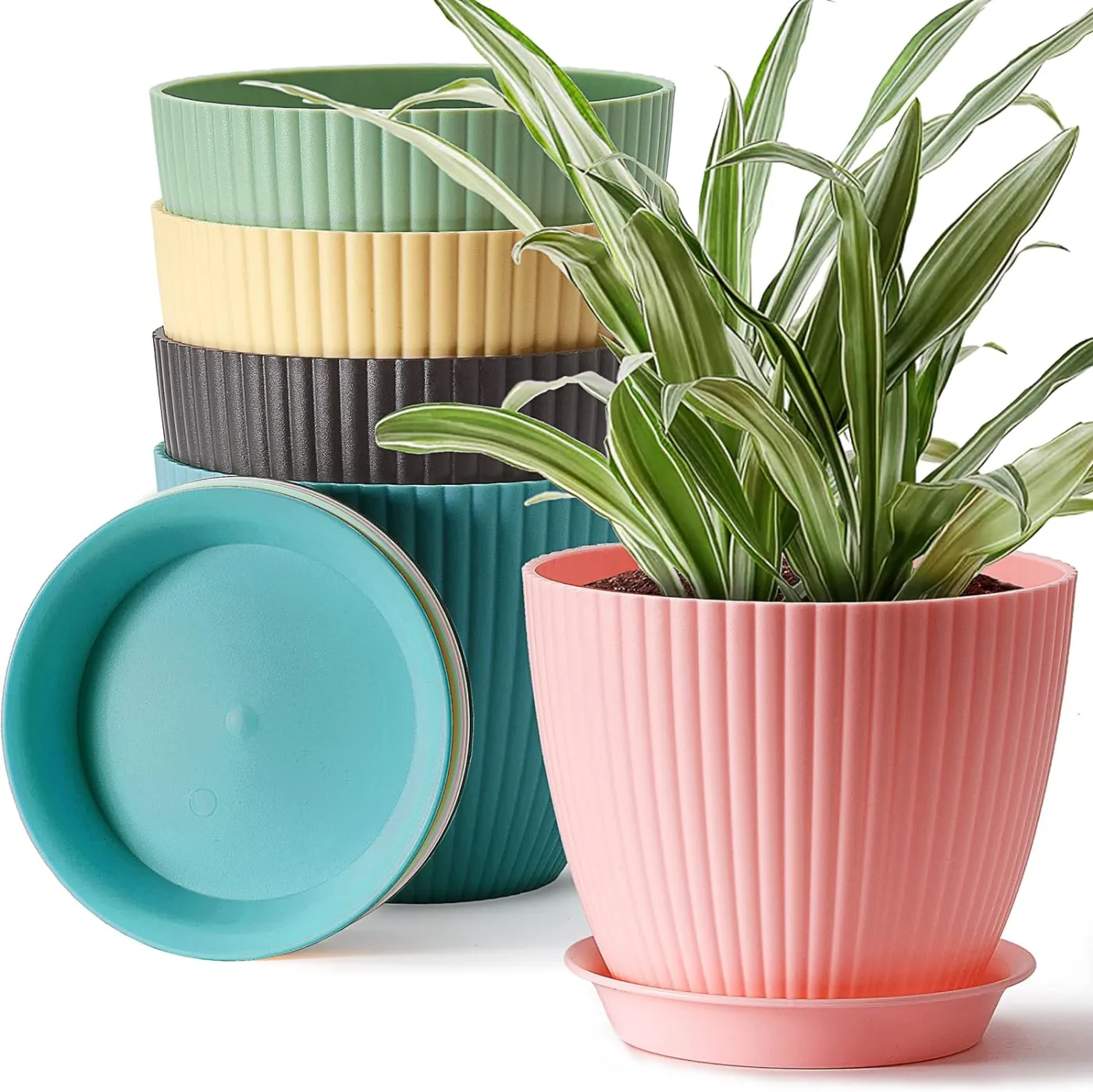 Planters
